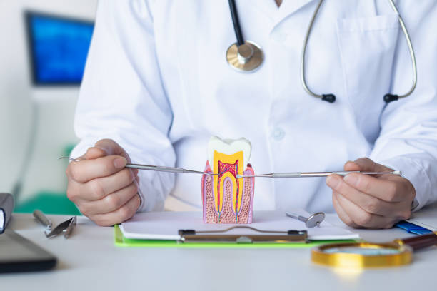Best Emergency Dentist for Knocked-Out Tooth in China, TX